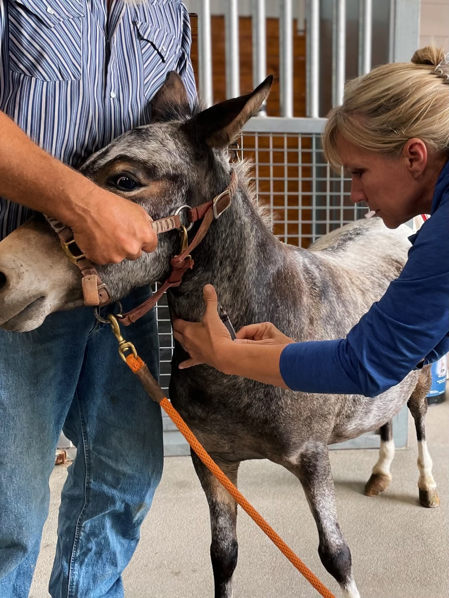 What to Expect During a Farm Call